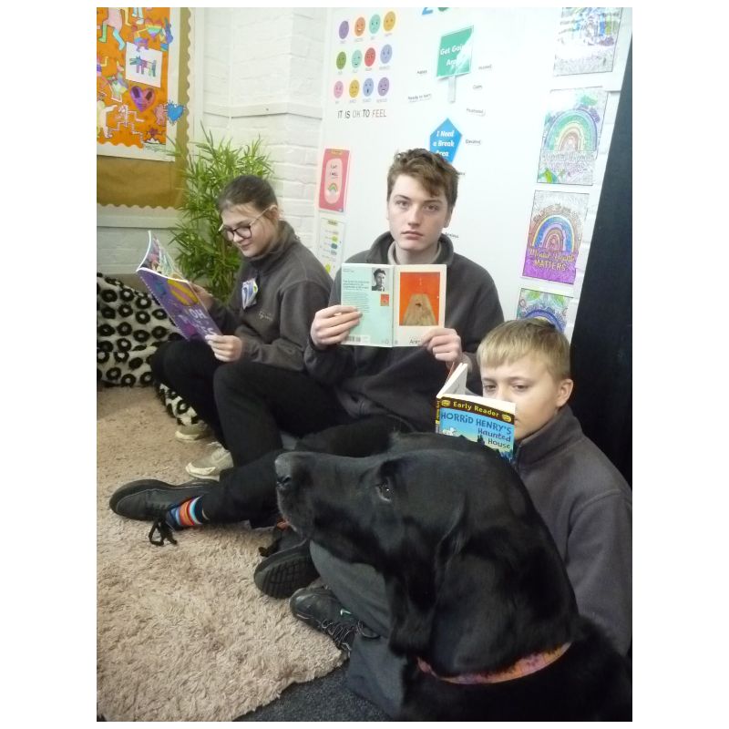 Figo - Cross Keys Learning