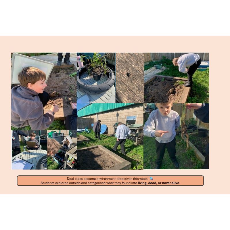 A Look at Our Week in School - Cross Keys Learning