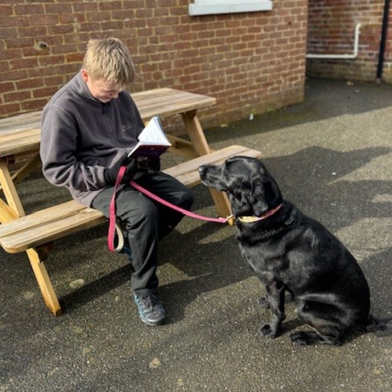 Caught you reading............ - Cross Keys Learning