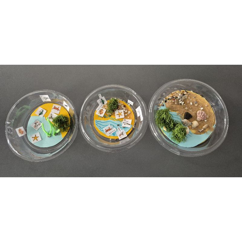 Coastal habitats - Cross Keys Learning