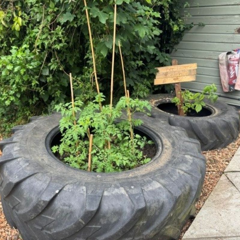 Things are growing nicely in the Womenswold garden! - Cross Keys Learning